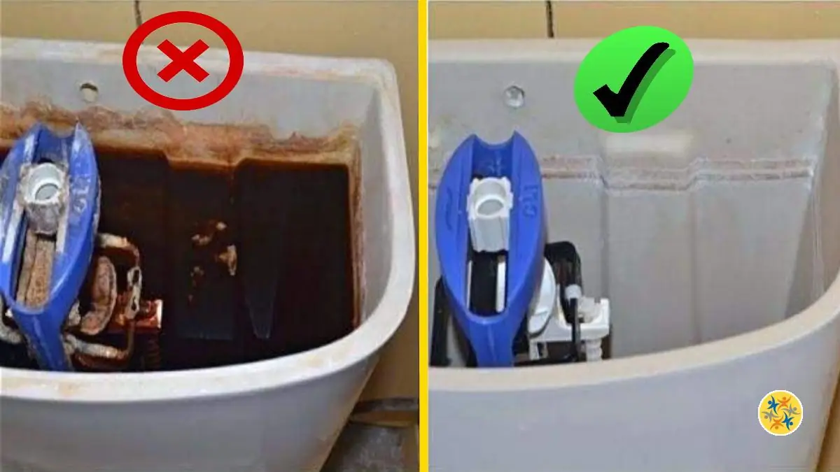 Voici Comment Détartrer Efficacement la Chasse d’Eau des Toilettes