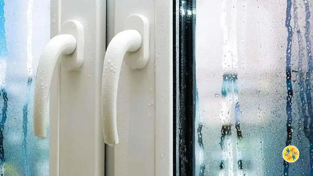 L’Astuce Pour Éliminer la Buée sur les Fenêtres Sans Effort