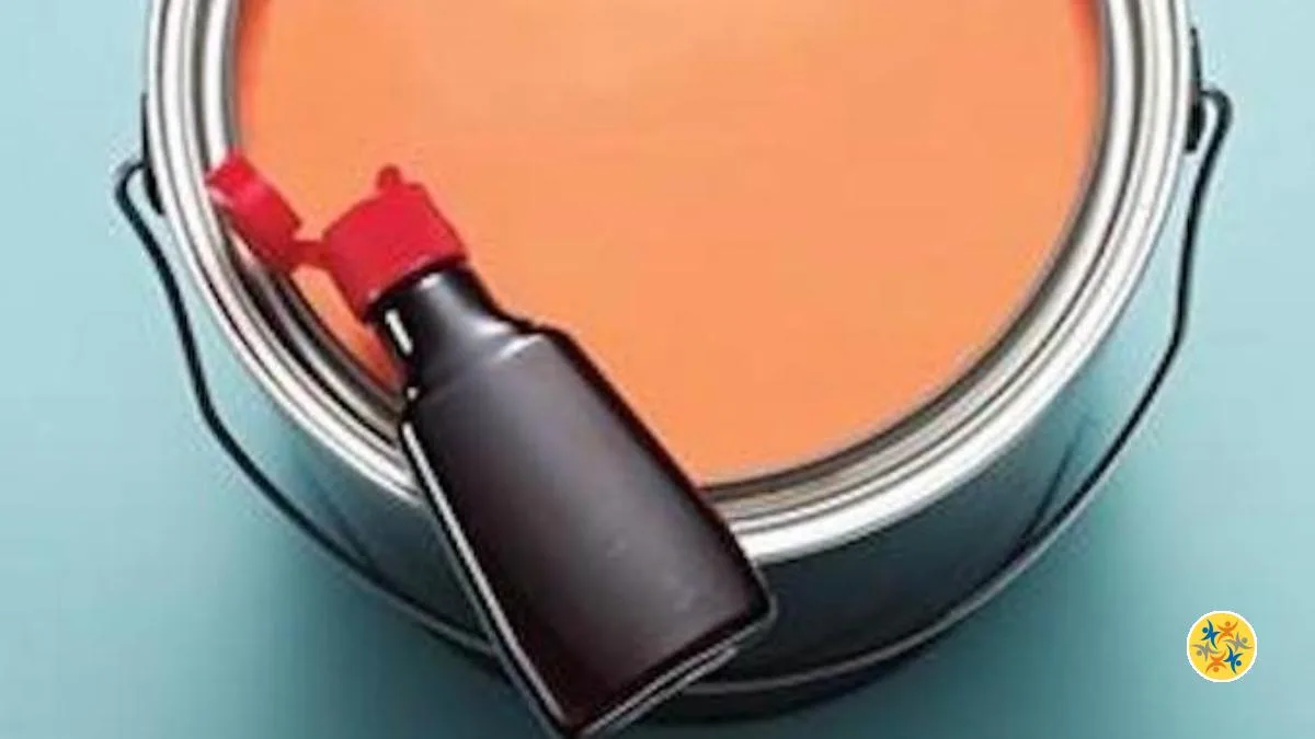 L’Odeur de Peinture à la Maison : Comment s’en Débarrasser Efficacement