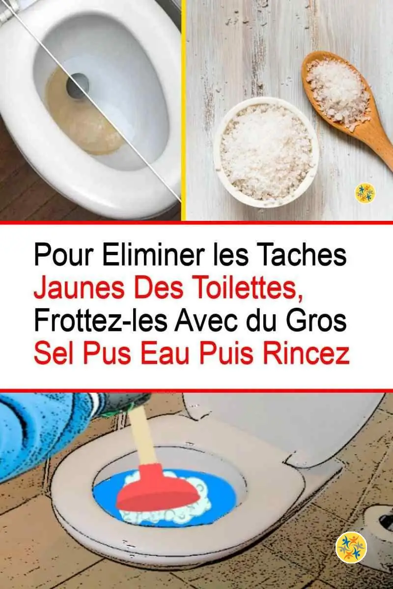 Seulement une Tasse de Gros Sel et Vous Résolvez 6 Problèmes Fréquents 4 Eliminer les taches jaunes des toilettes avec le gros sel