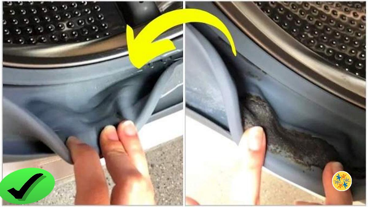 Comment Enlever la Moisissure dans la Machine à Laver