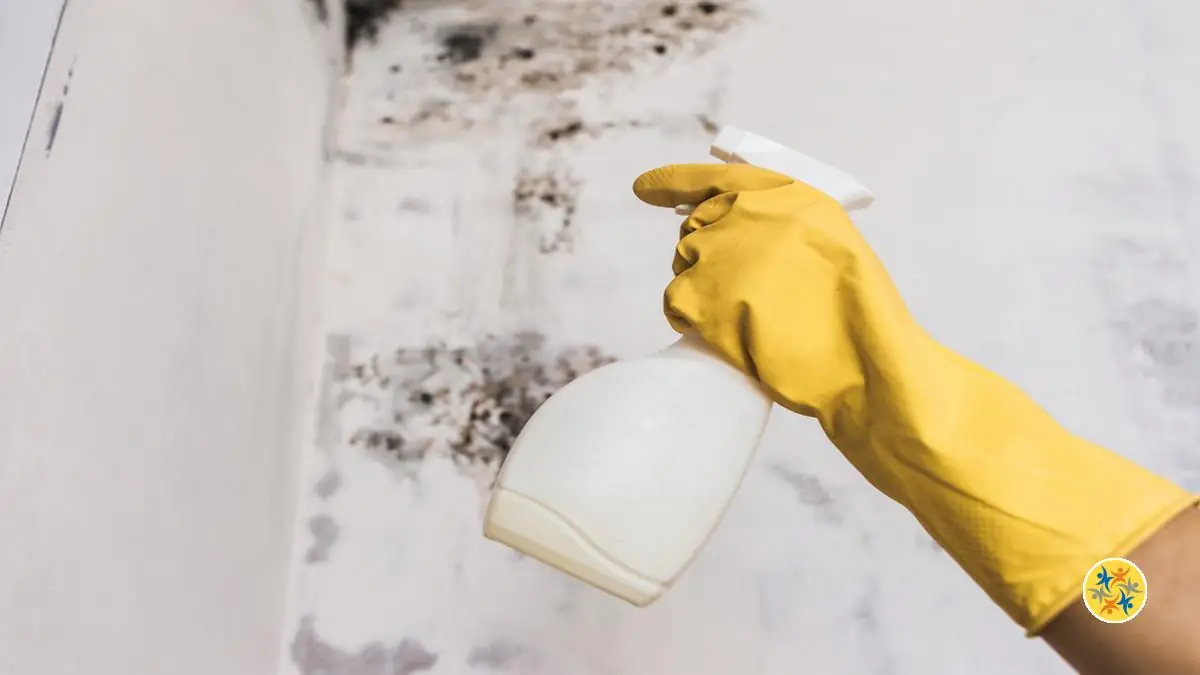 Comment Enlever la Moisissure de Mur sans Appliquer le Javel