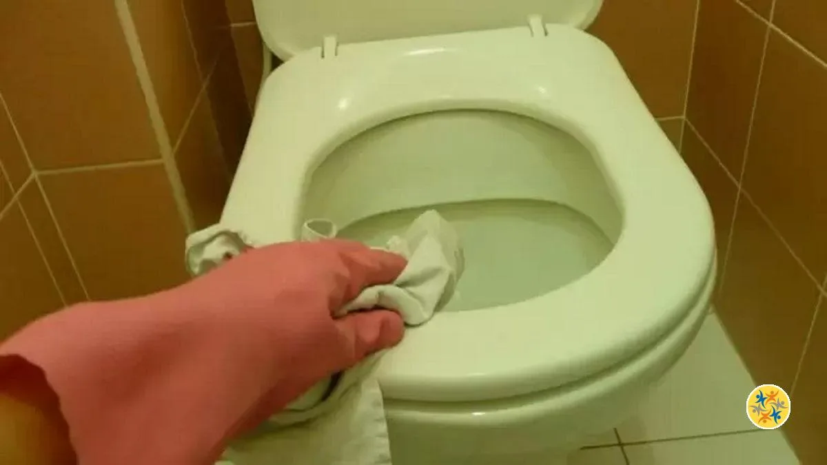 Comment Enlever l’Odeur de Pipi dans la Toilette?