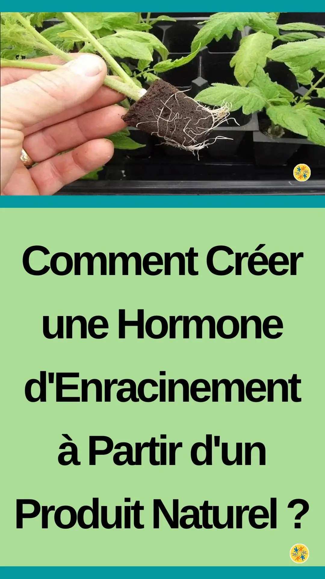Substances écologiques pour fertiliser les plantes