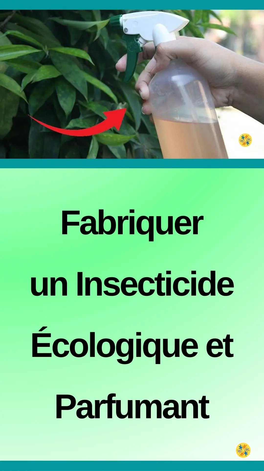 Chasser les insectes de chez soi avec un produit naturel 