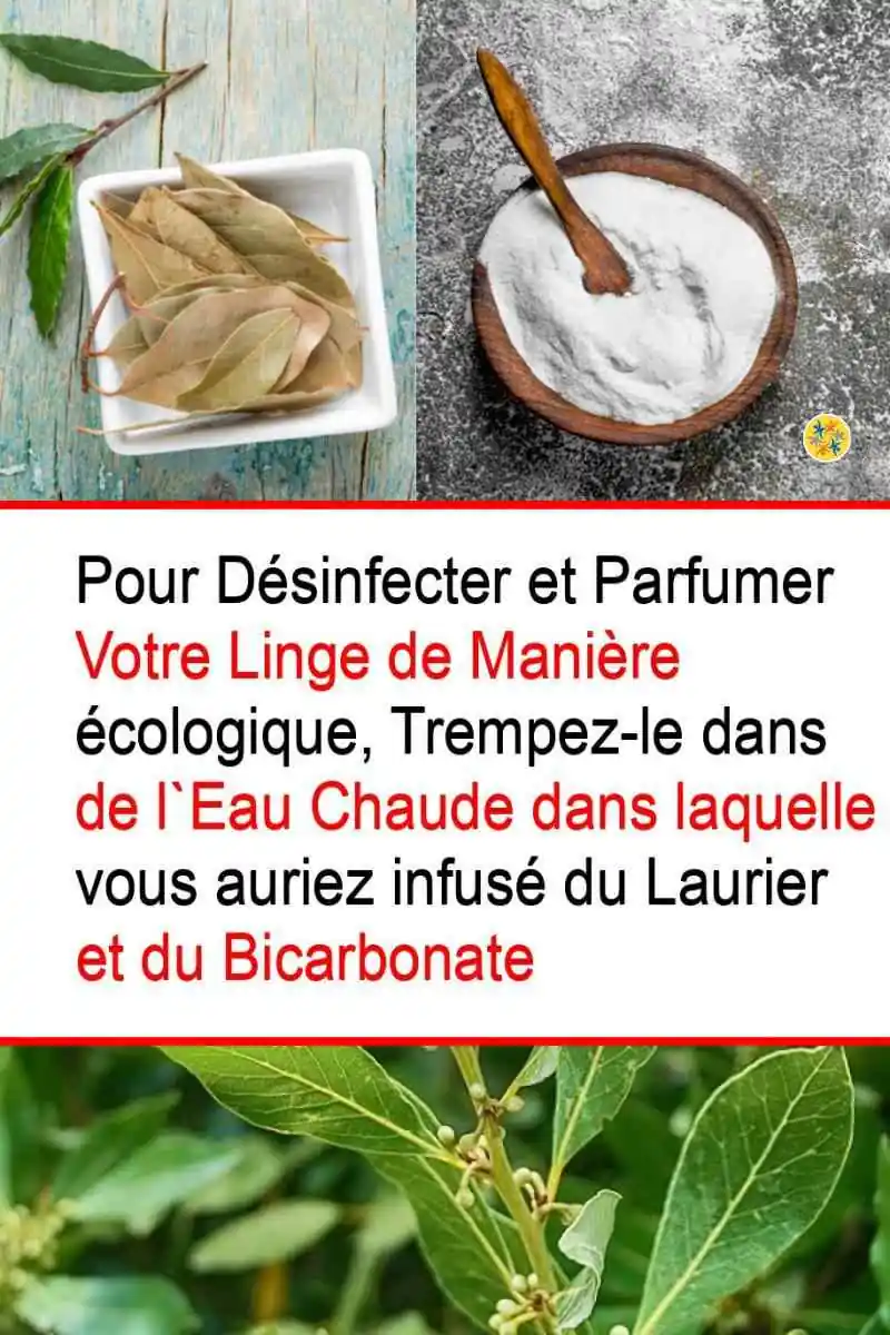 2 Trucs Naturels pour Bien Laver ses Vêtements 26 Les produits naturels capables de perfectionner la lessive