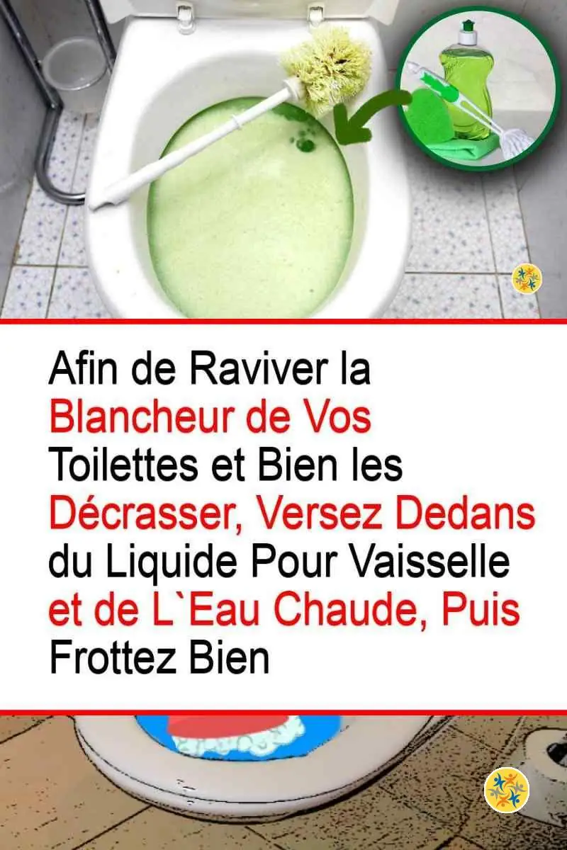 Resplendissez votre Cuvette en mettant en œuvre 4 Produits Écolos 8 Exploitation du liquide vaisselle pour la cuvette