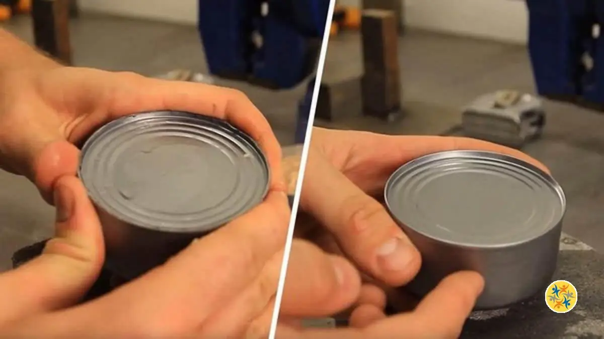 Anneaux De Retrait De Couvercle Réutilisables. Tirez Légèrement L