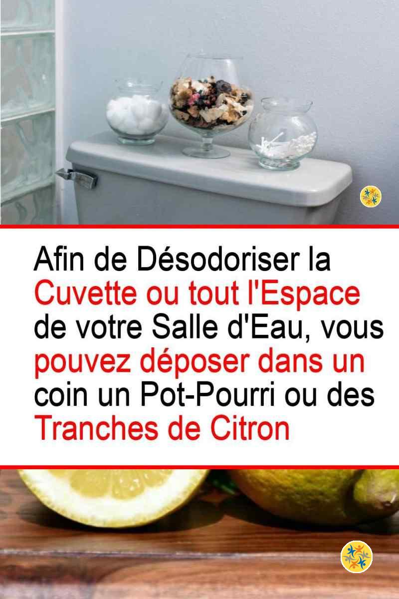 Remèdes naturels pour des odeurs agréables aux toilettes