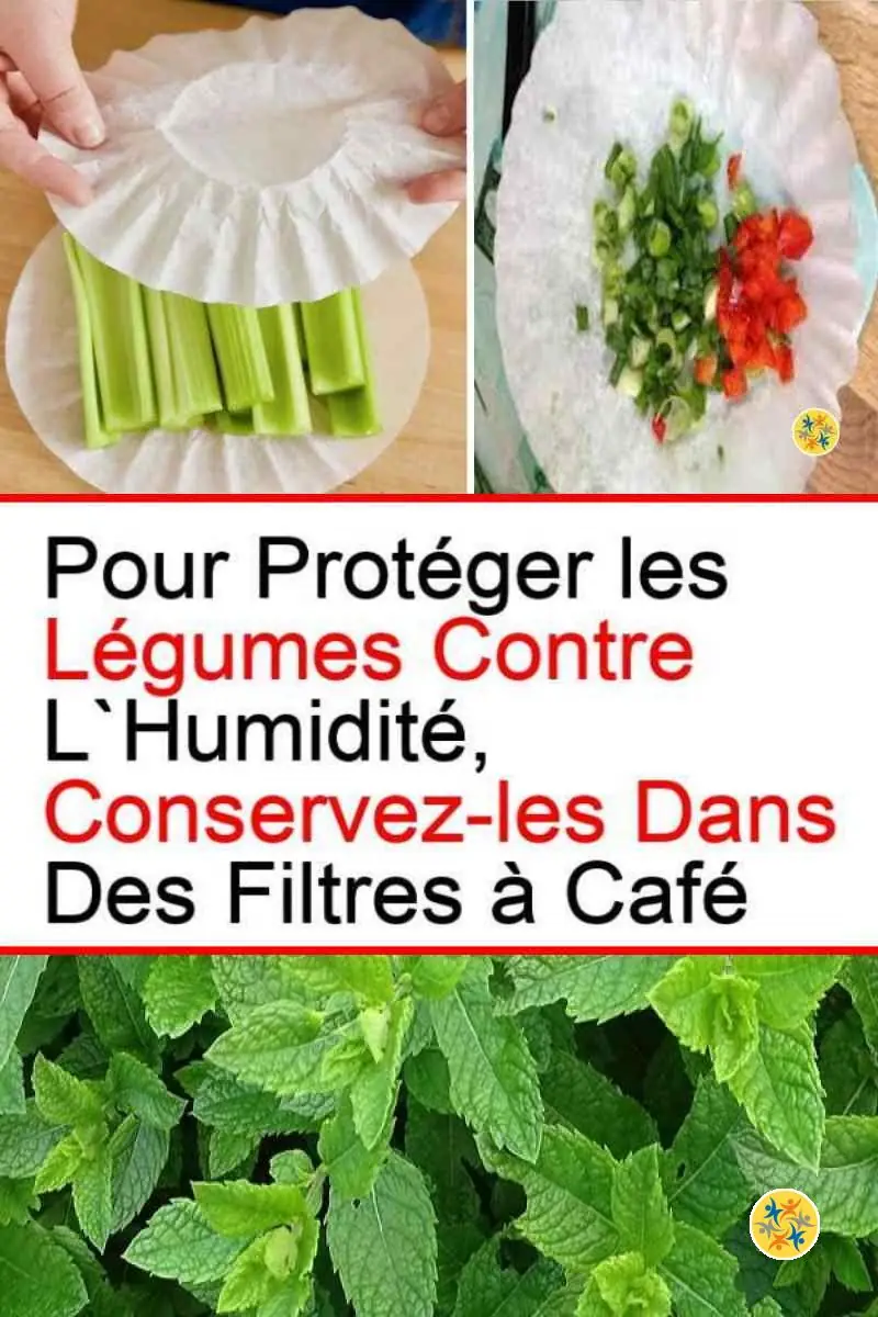 Réutilisez les Filtres à Café en 8 Gestes Pratiques 6 Protéger les légumes avec les filtres à café