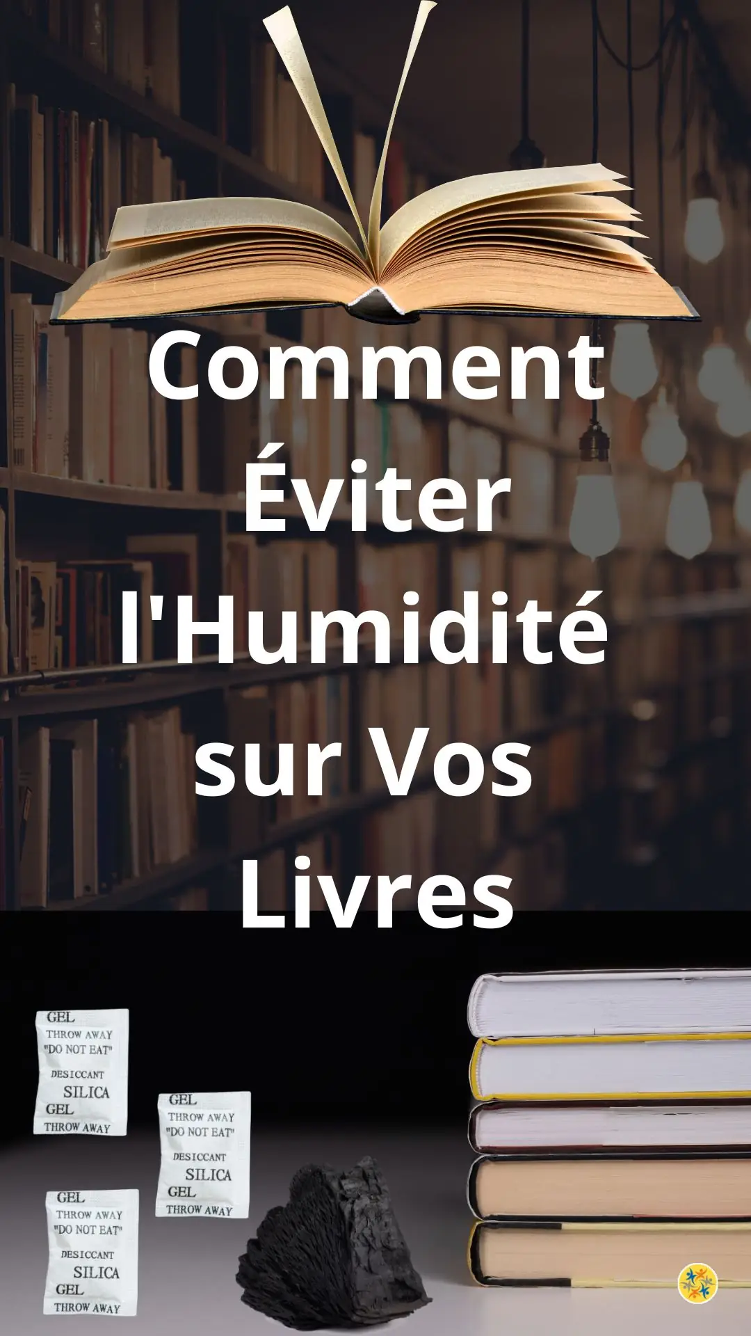 Solutions Préventives Contre l'Humidité pour Vos Livres 