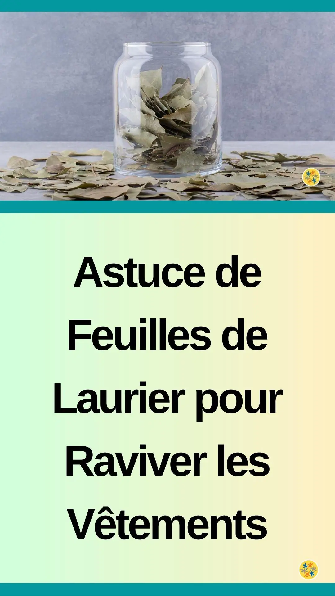 Le secret des feuilles de laurier pour raviver les vêtements délavés 