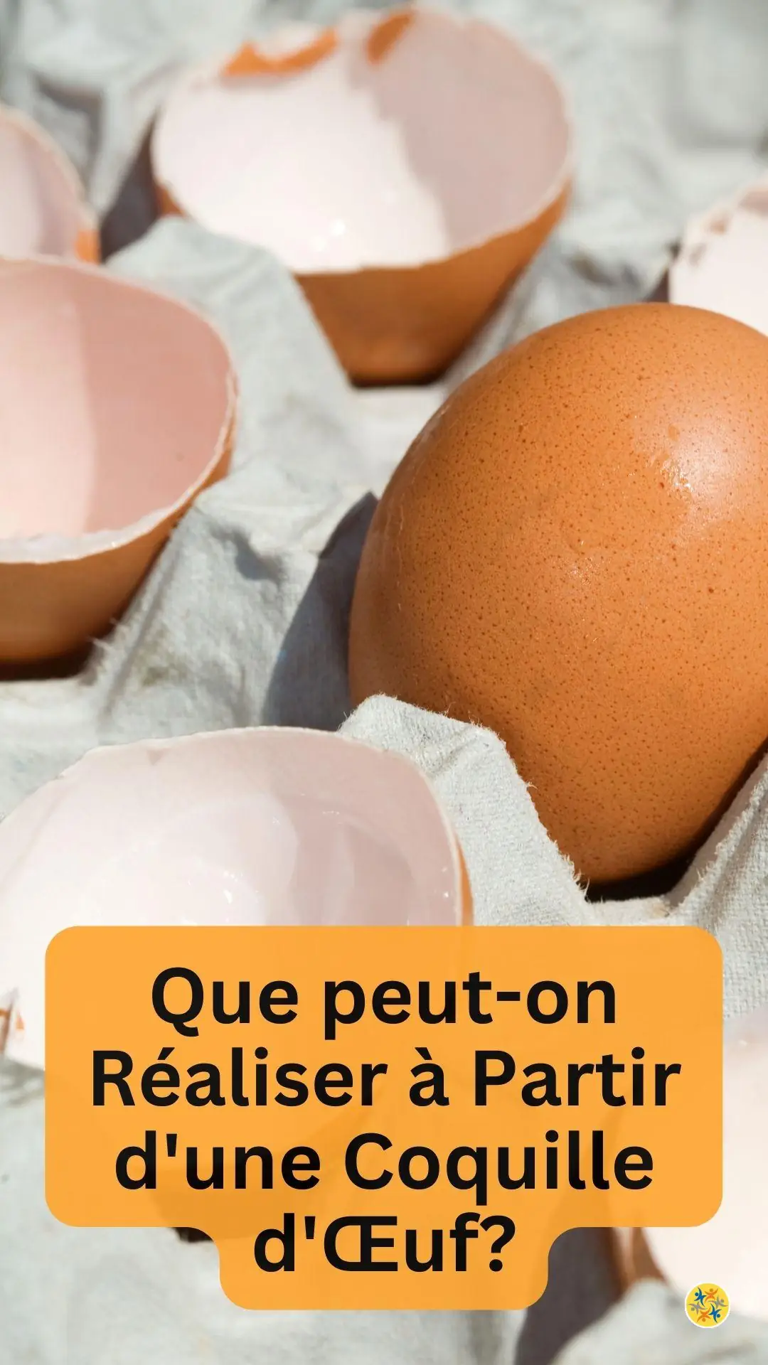Des Idées économiques pour recycler les carapaces d'œufs 