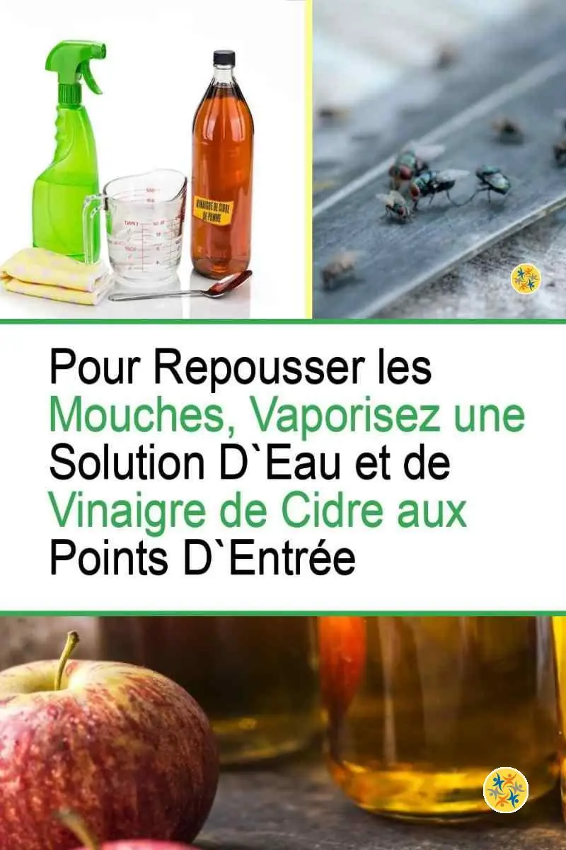 Repousser les mouches avec le vinaigre de cidre
