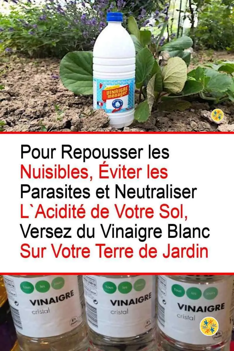Le Vinaigre Vertueux et ses 5 Intérêts Capitaux en tant que Désinfectant 10 Vertus acide et pesticide du vinaigre blanc