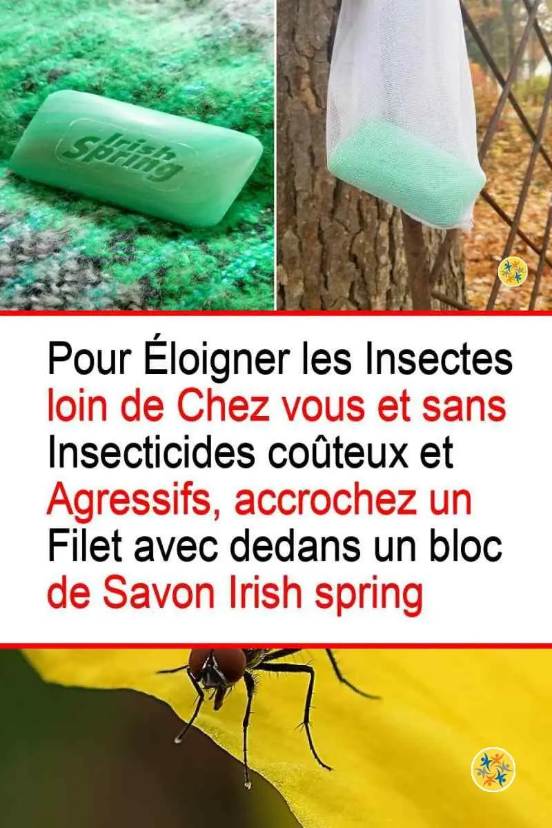 Répulsif de mouches économique et fiable