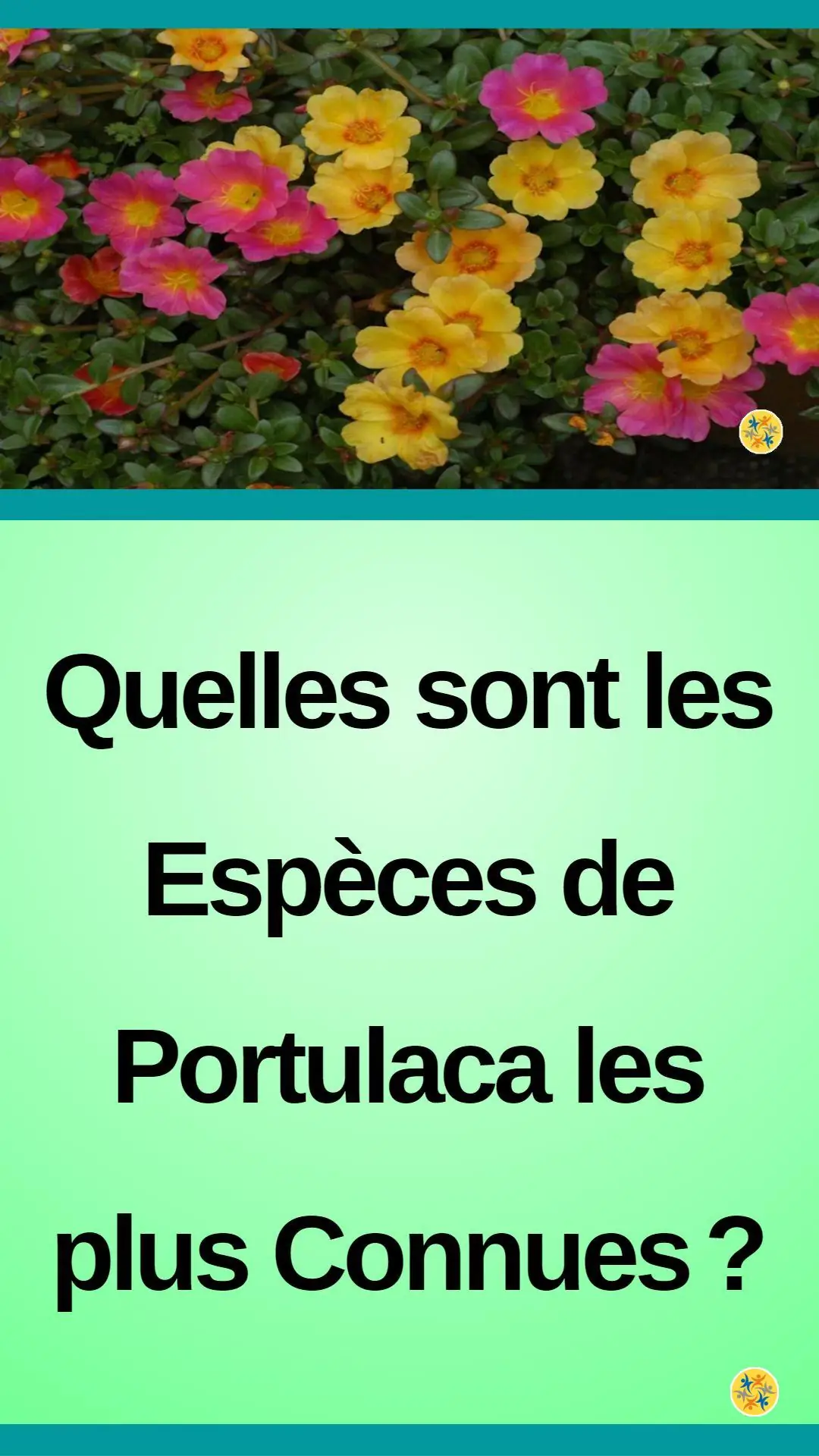 Culture et entretien de quelques variétés de Portulaca 