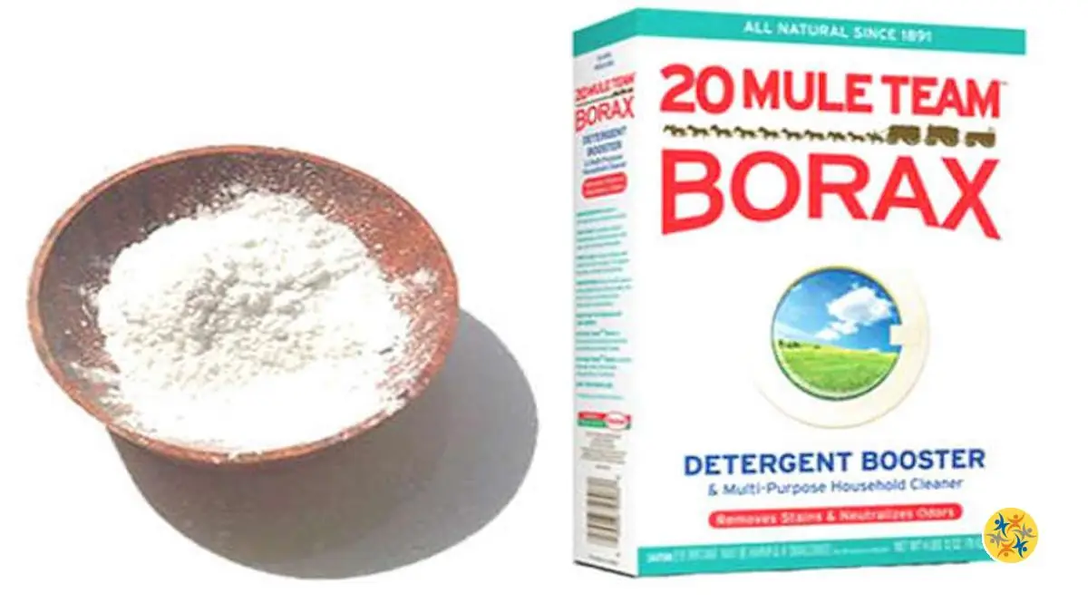 Du Borax pour Presque Tout? Choisissez votre Option!