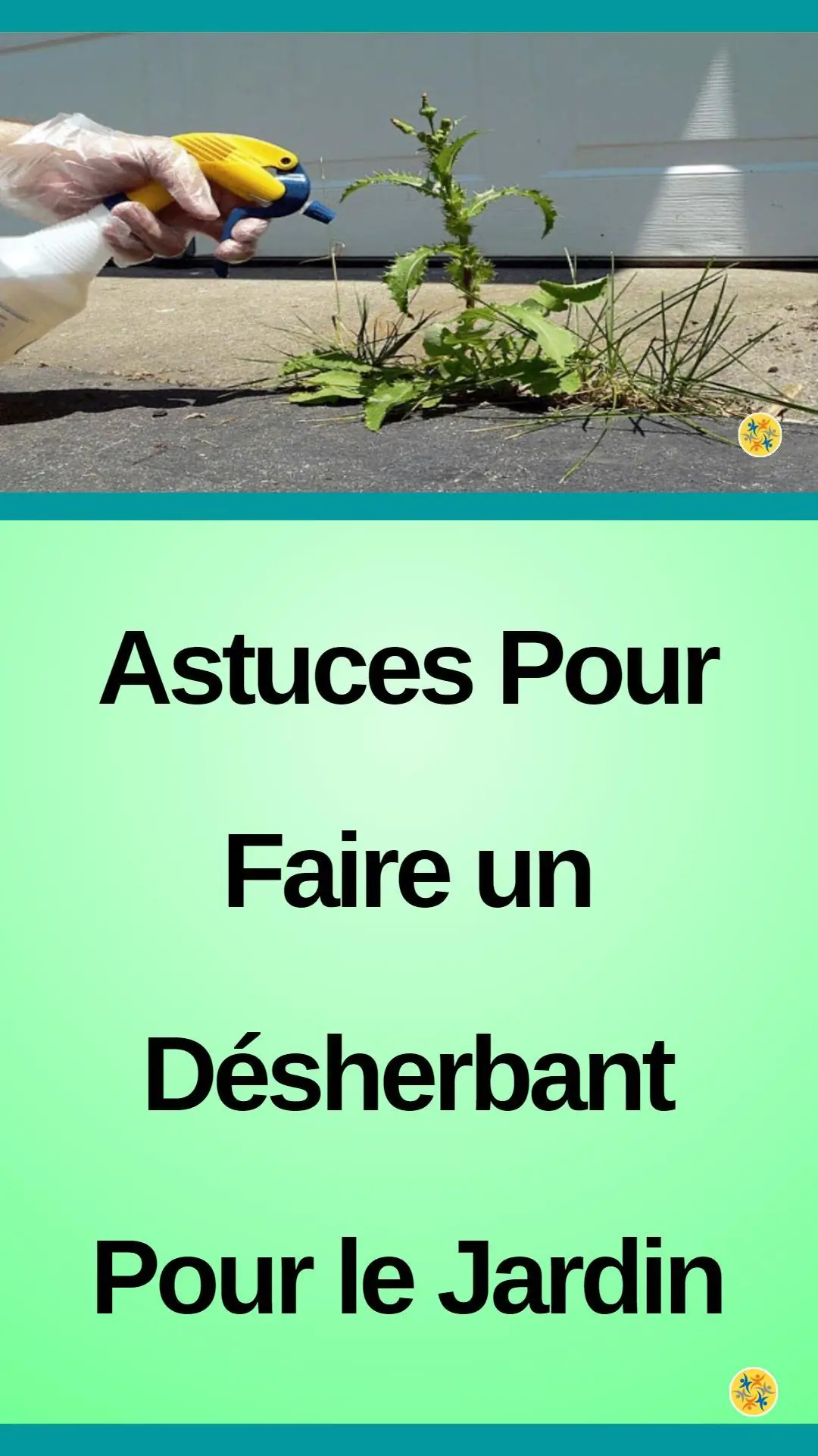 Désherbants naturels pour le jardin 