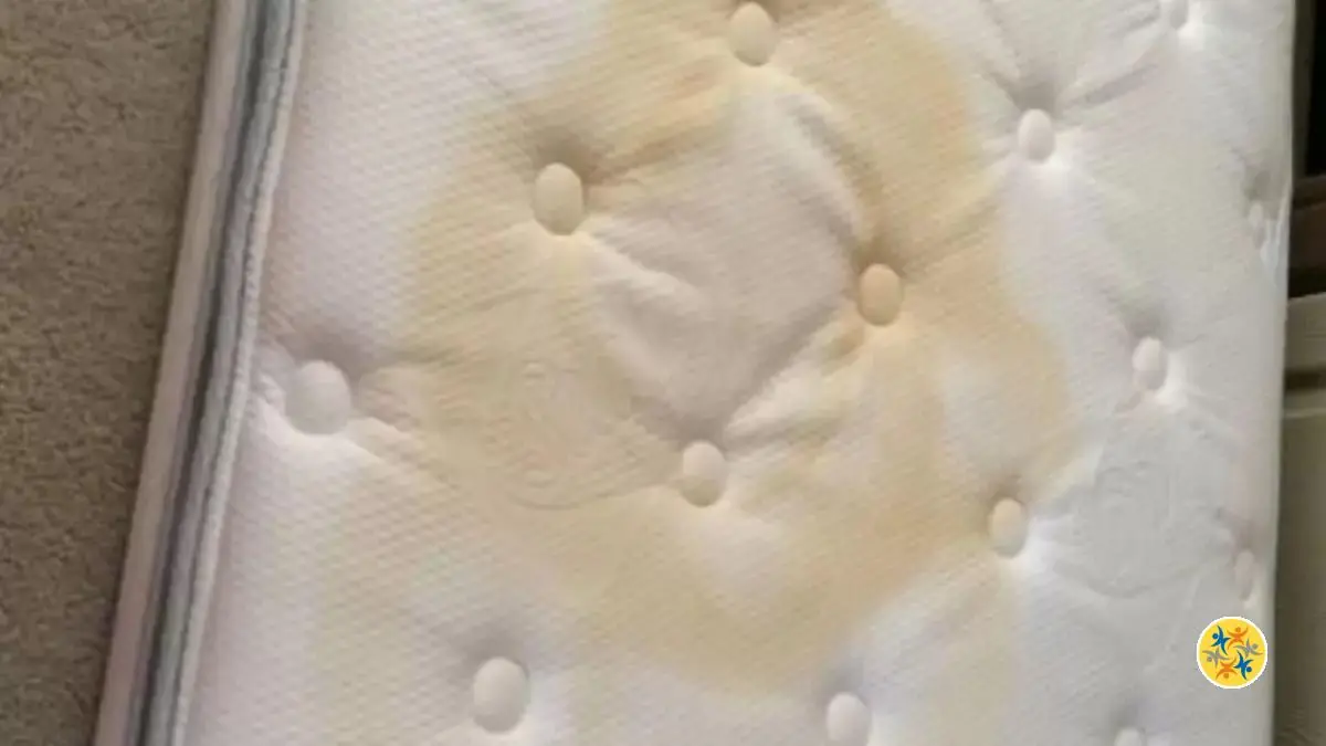 Eliminez les Taches d’Urine sur le Matelas Avec 10 Astuces Rapides