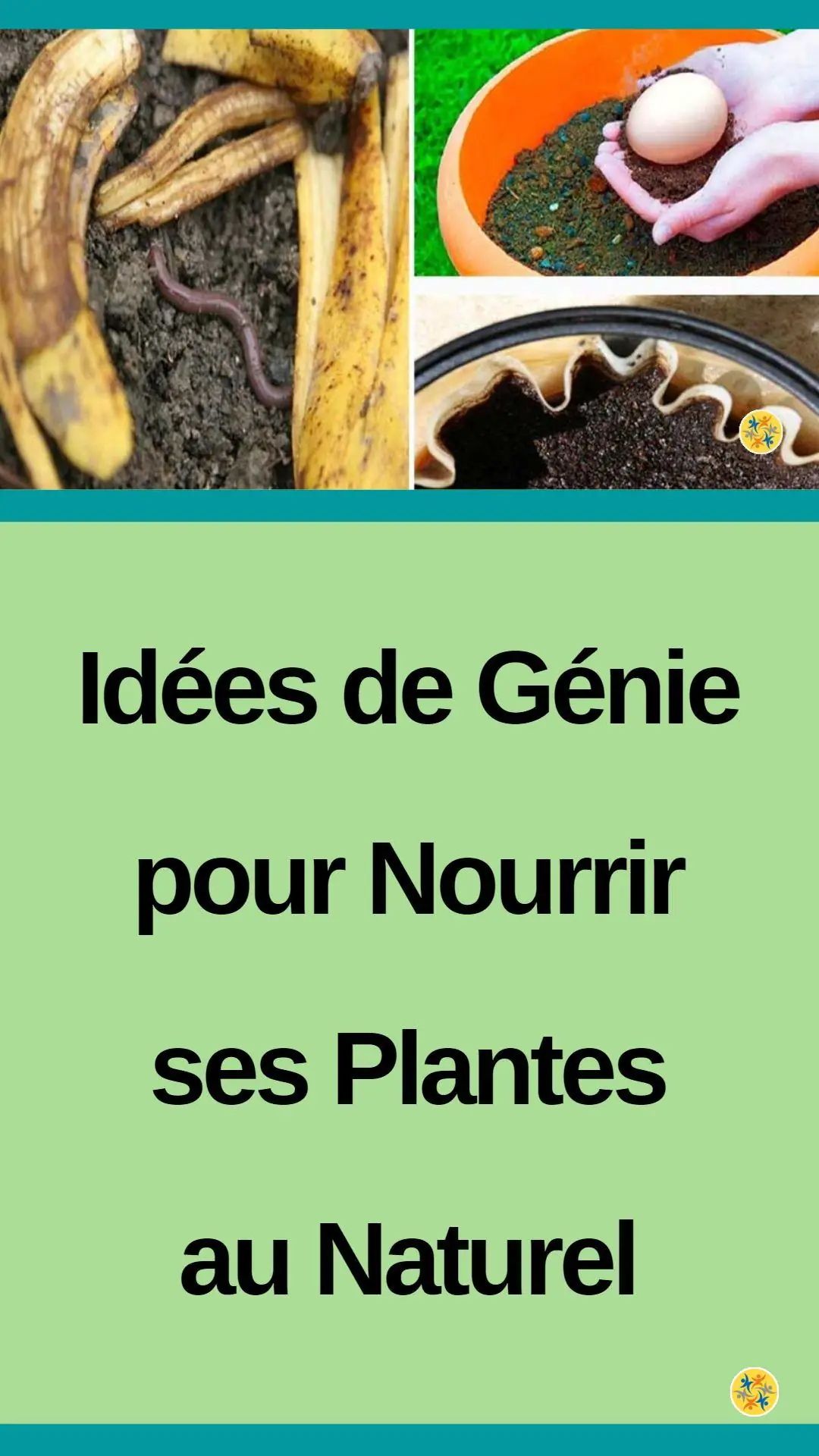 Idées de génie pour nourrir ses plantes au naturel 