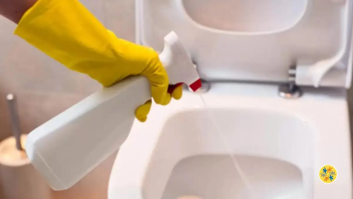 Odeur d’Urine dans les toilettes 4 Astuces pour l’enlever