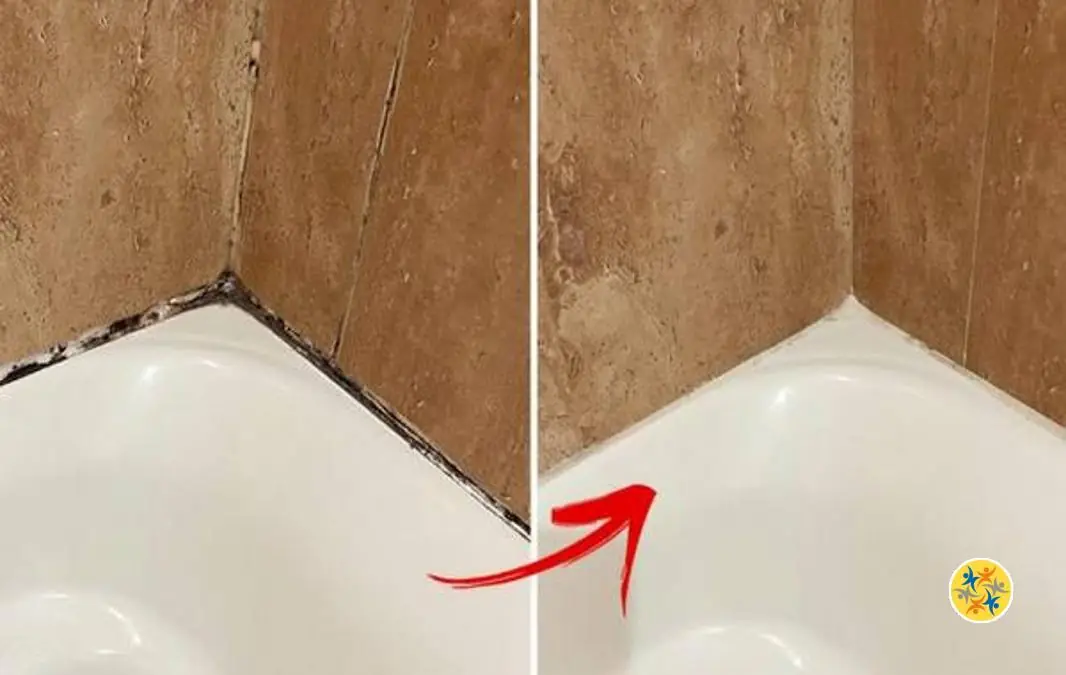 10 Astuces pour des Joints de Douche Éclatants en Quelques Pas