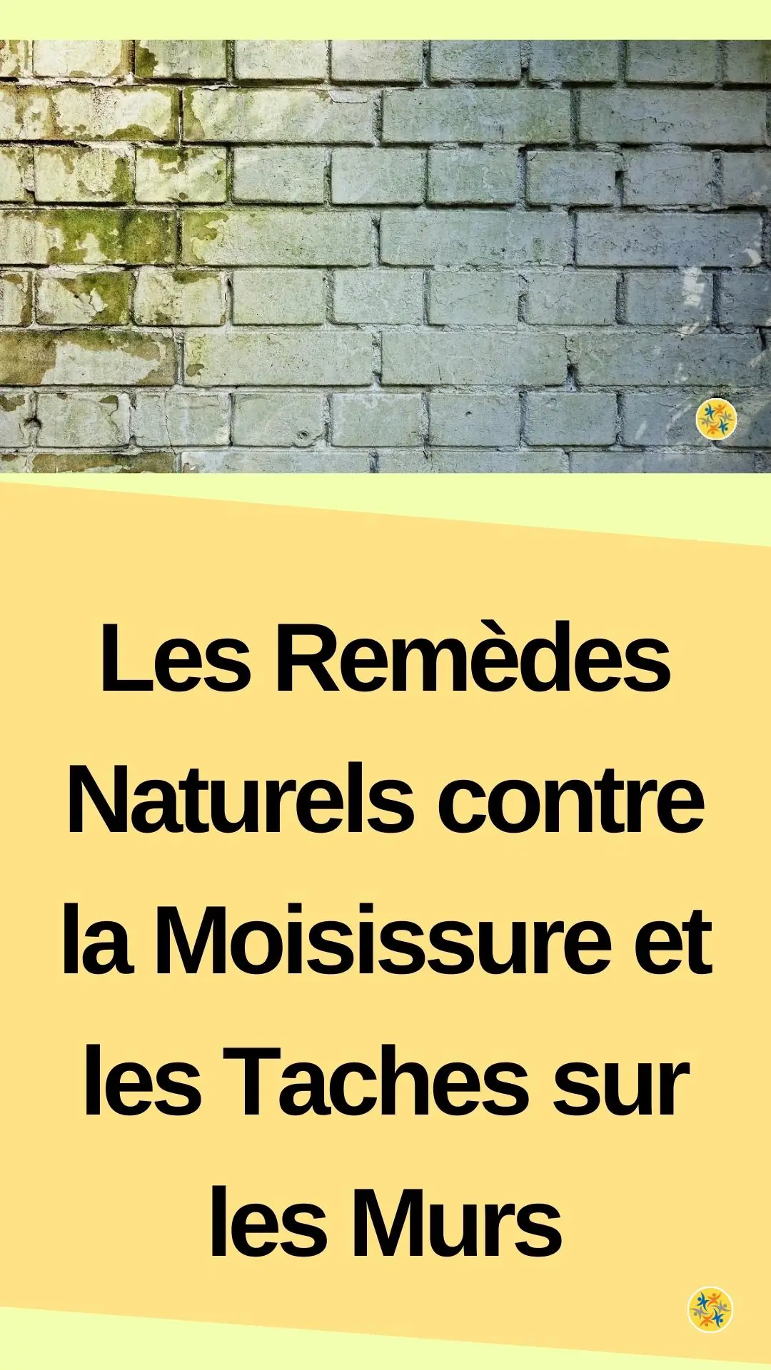 Entretien écologique pour un mur et sans produit nocif 