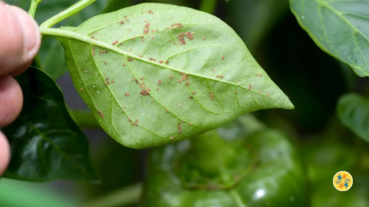 Astuces Naturelles Anti-Insectes pour le Potager