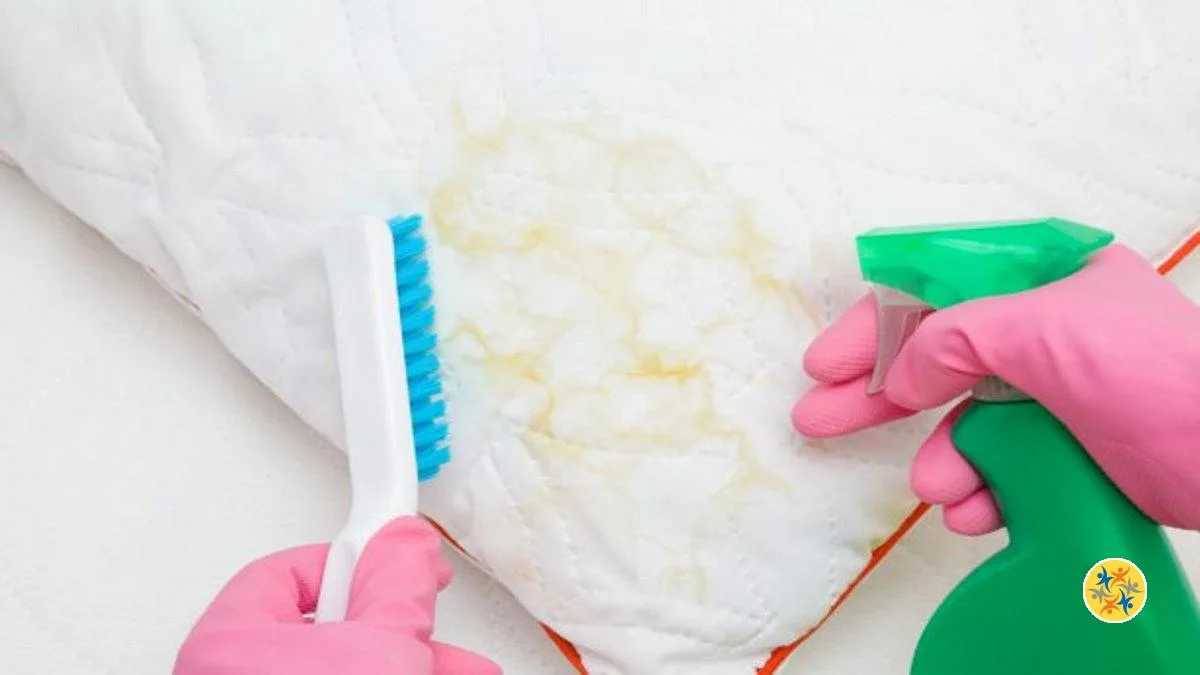 Nettoyer l’Oreiller Jauni par 4 Astuces Efficaces