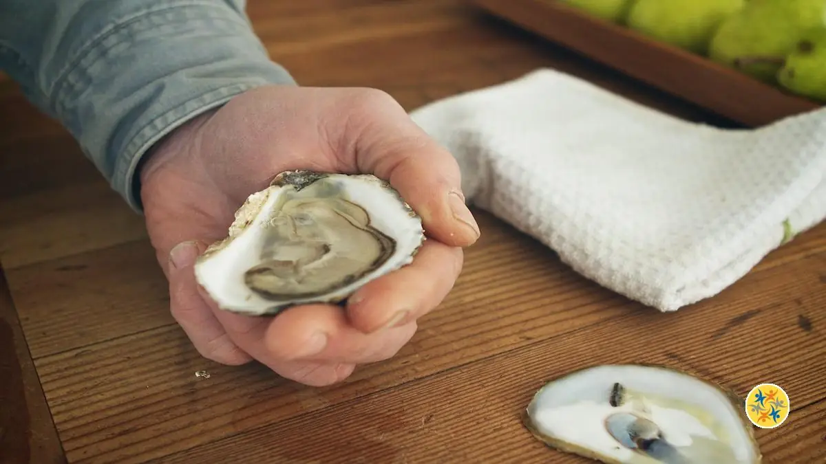 6 Astuces Pour Ouvrir les Huîtres Sans Recourir à Utiliser le Couteau