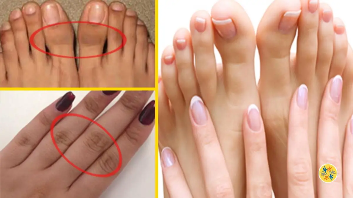 Harssidanzar Gants Sans Doigts De Moto à écran Tactile En Peau De