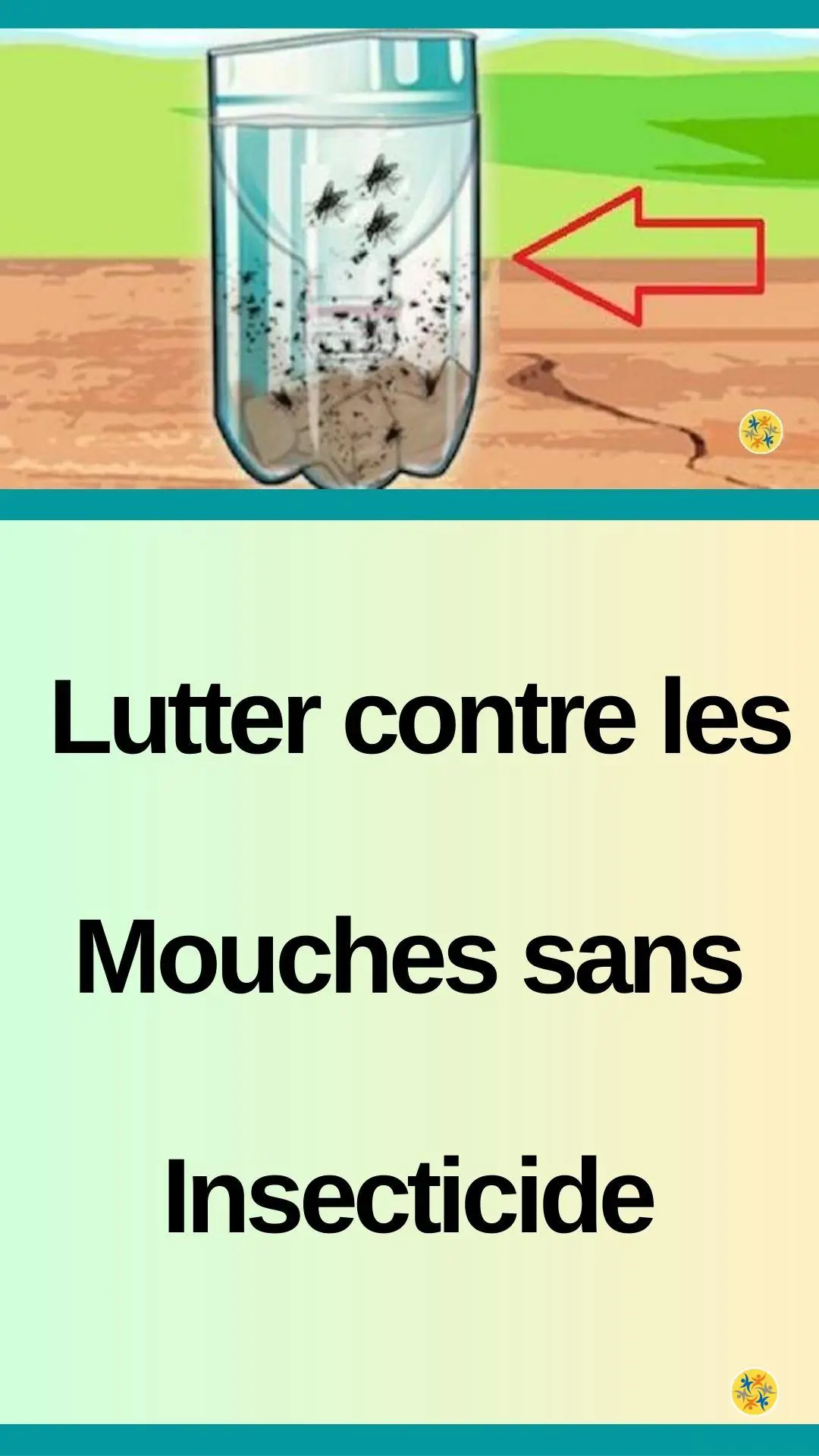 Piège à mouches facile à monter 