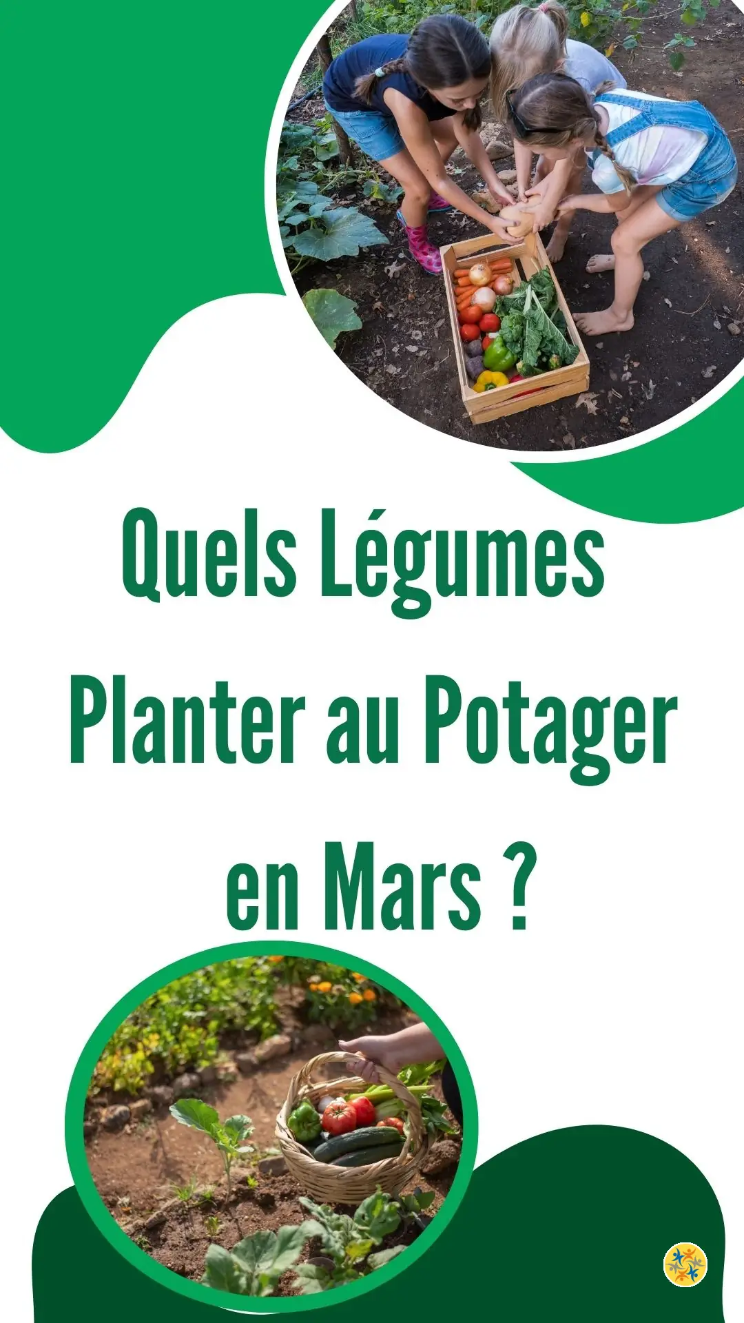 Commencez Votre Potager en Mars : Conseils de Plantation 