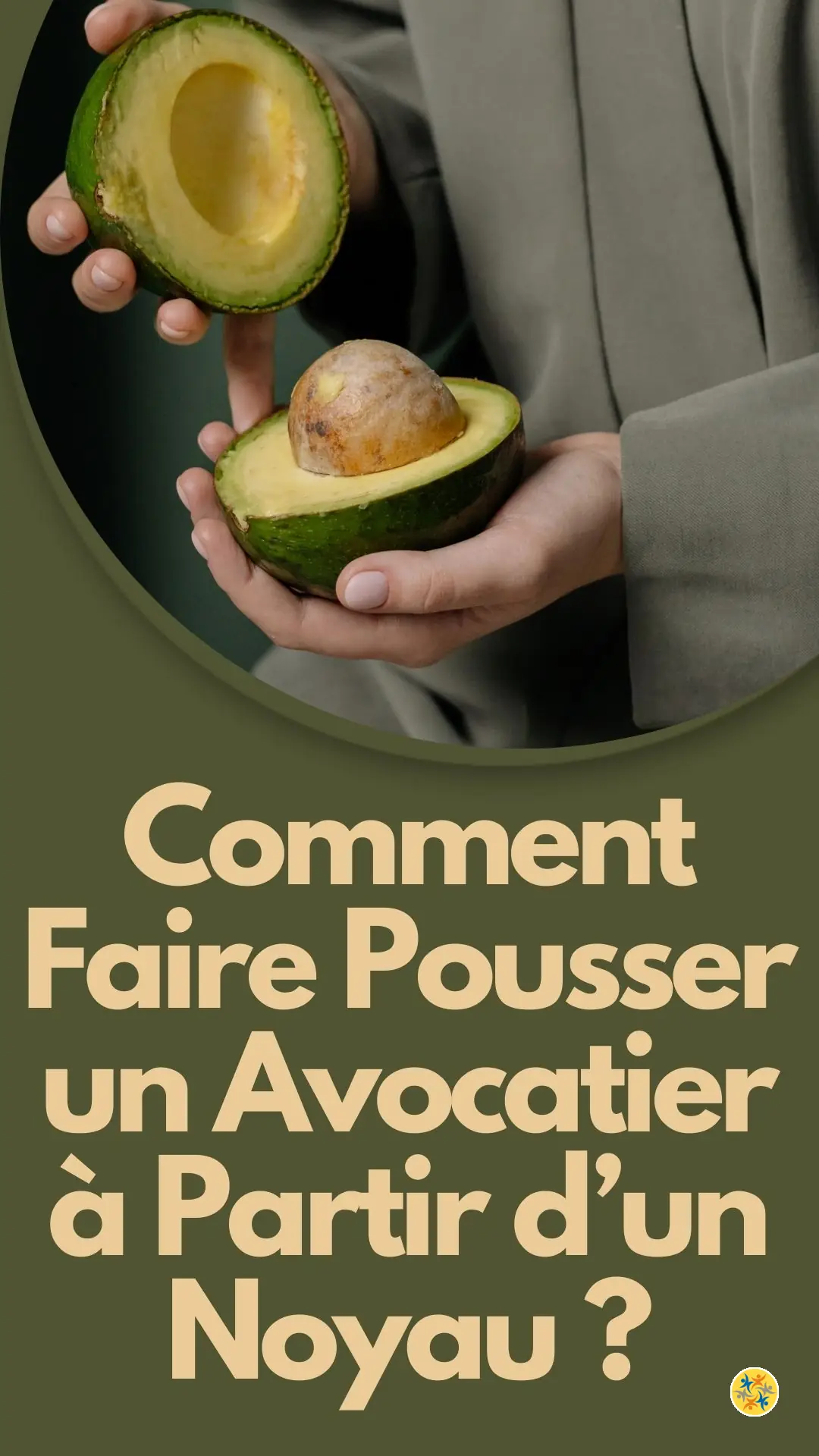 Guide Pratique pour Cultiver un Avocatier chez Vous 