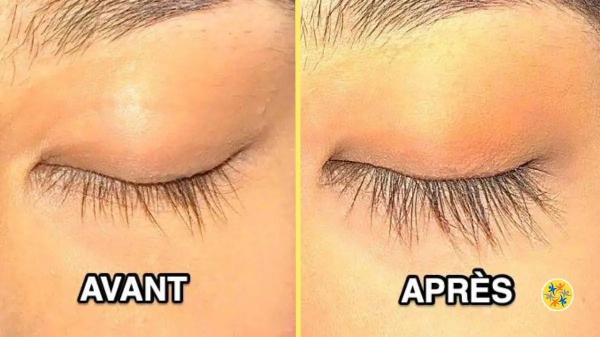 Faire Pousser les Cils Rapidement et les Renforcer Avec 6 Solutions Naturelles