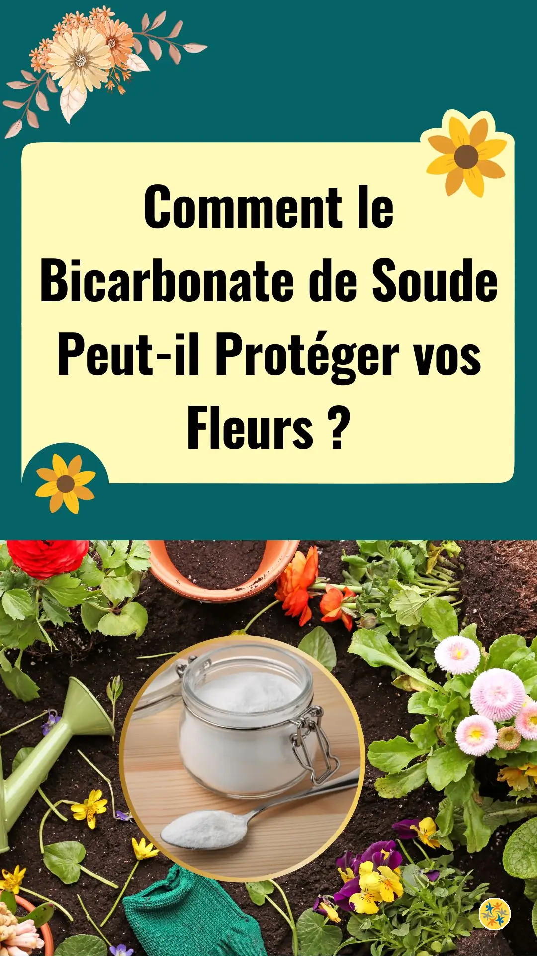 Pourquoi utiliser du bicarbonate de soude dans votre jardin 