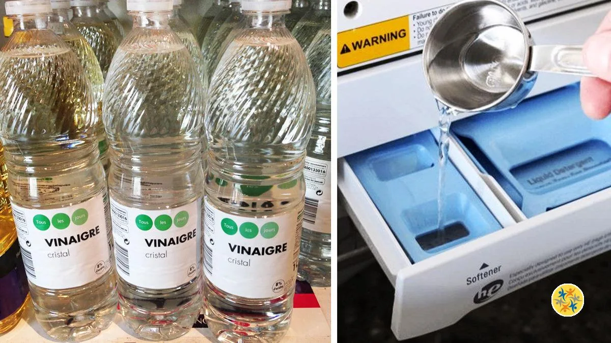 Vinaigre Blanc en Machine : 5 Astuces à Connaitre Avant de l'Utiliser