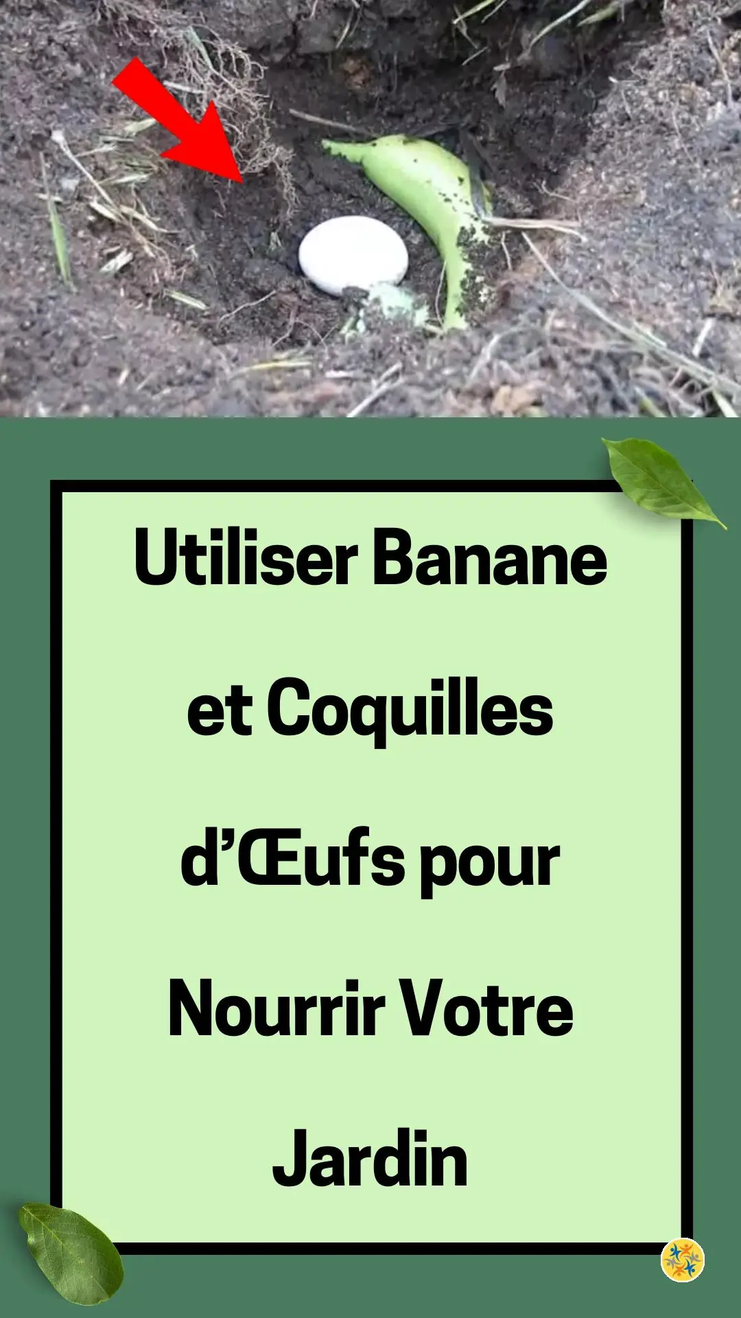 Faire prospérer les fleurs et le potager avec les œufs et les bananes