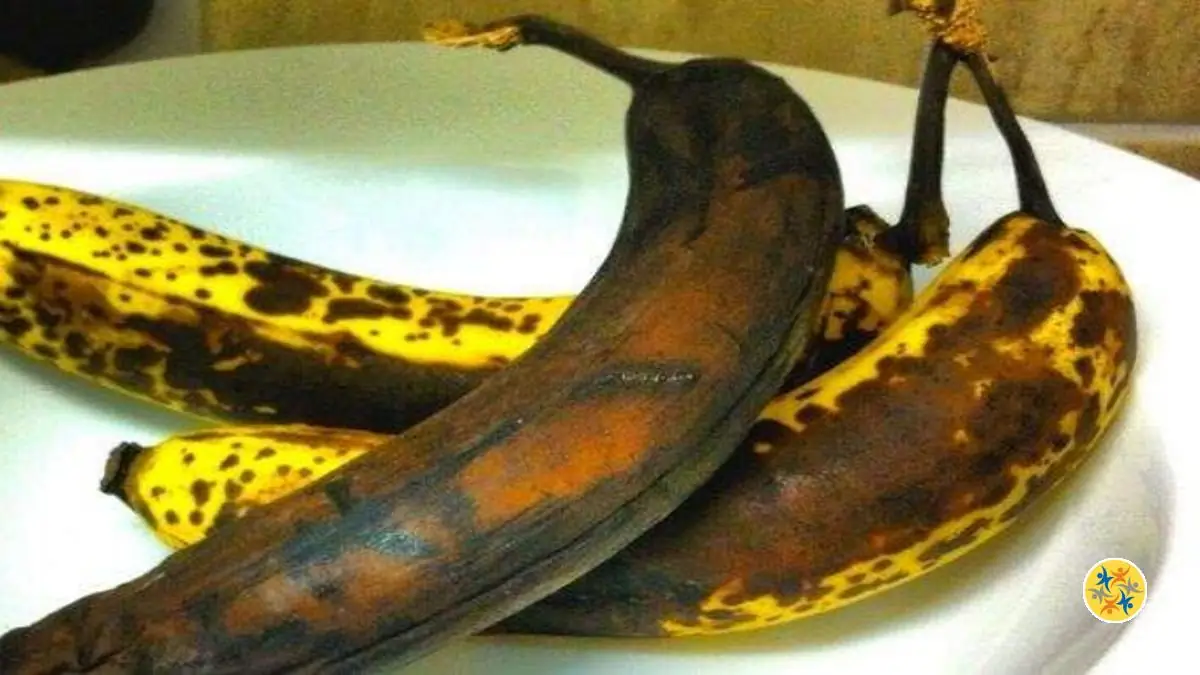 Можно есть кожуру банана. Почерневший банан. Потемневшая мякоть банана. Потемневший банан. Чернеющий банан внутри.
