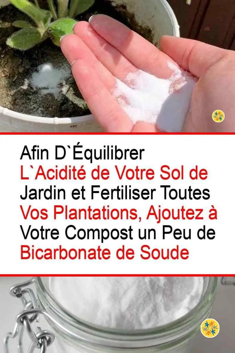 L'Emploi du Bicarbonate pour la Maison et pour 4 Fins 4 Bicarbonate agent nutritif pour les plantes