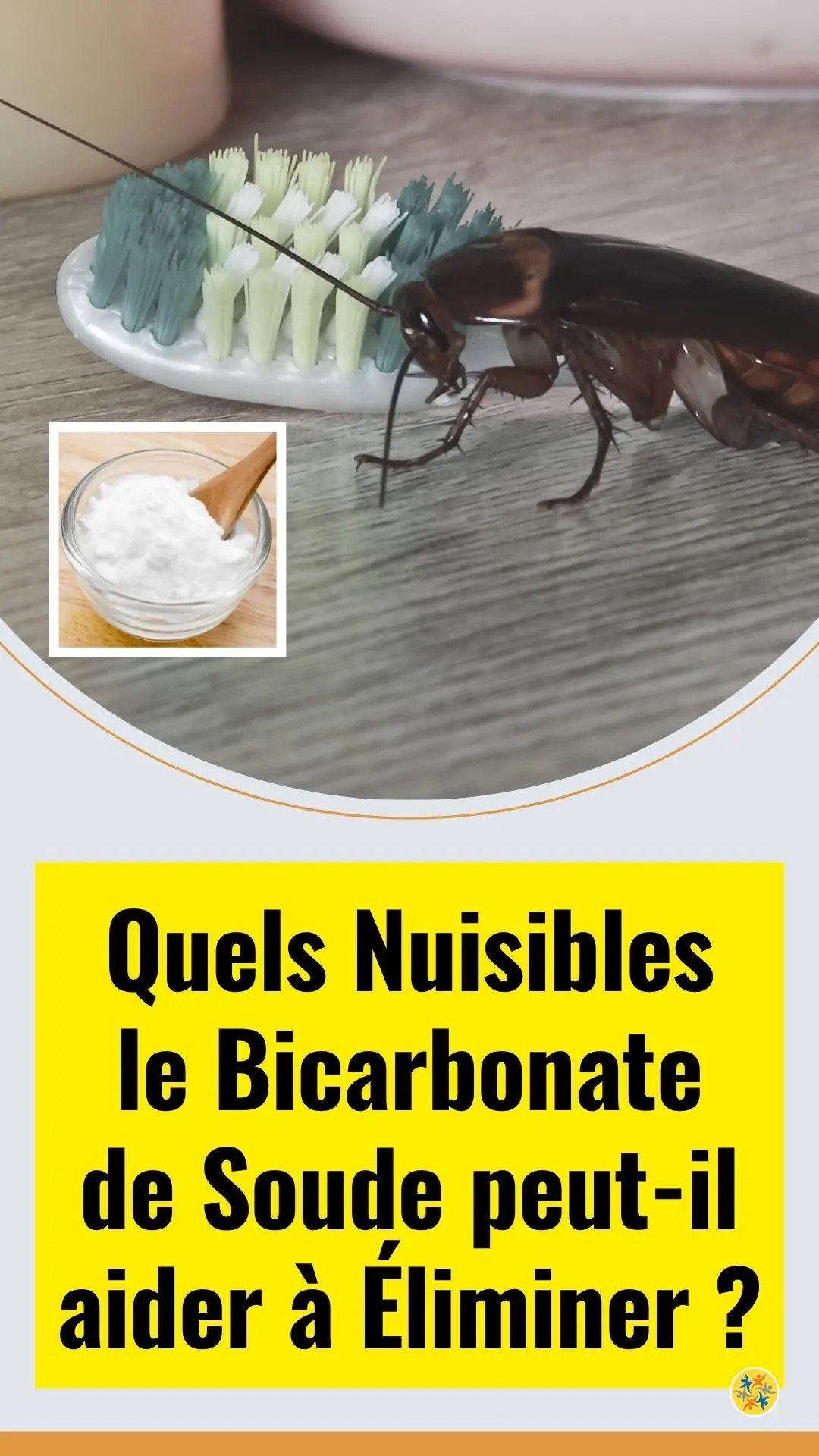Comment le bicarbonate de soude peut-il repousser les nuisibles 