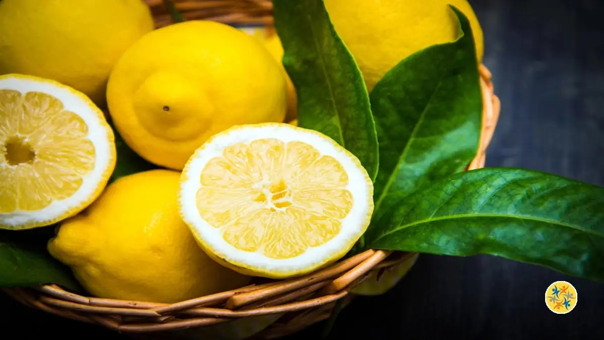 2 Pas pour des Citrons Toujours Frais et en Bon Etat 16 Quels sont les bienfaits du citron?