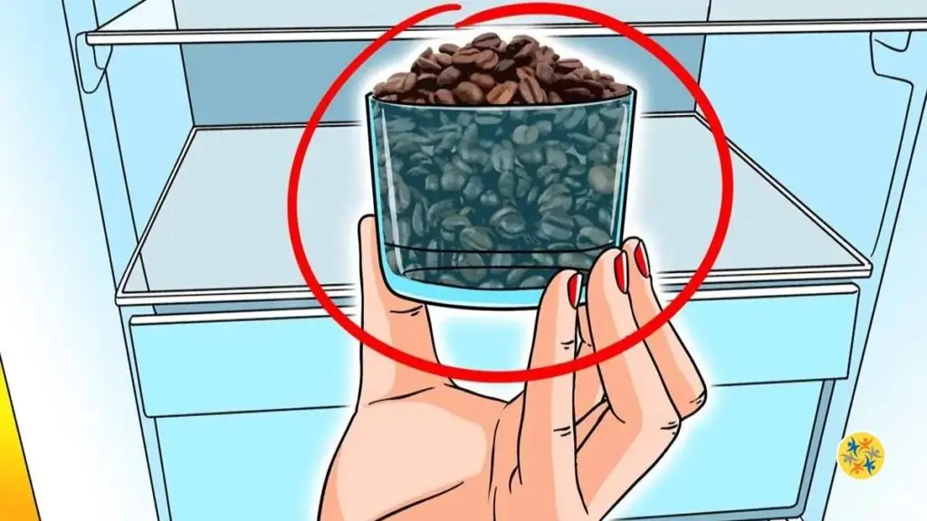 5 avantages du marc de café à la maison que vous devez connaître