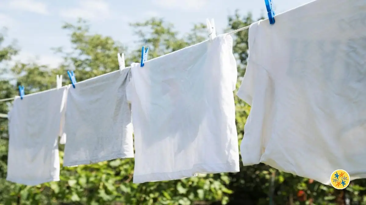 5 Solutions Pour Blanchir le Linge Jauni
