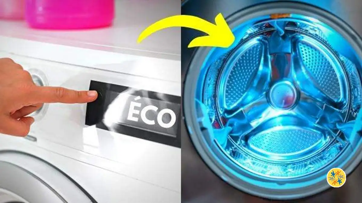 Le Bouton Secret Pour Économiser Considérablement l'Électricité Dans le