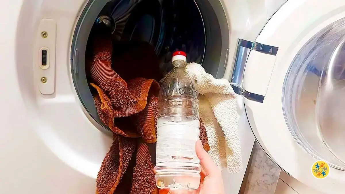 Un Linge qui Sent Mauvais Causes et Solutions