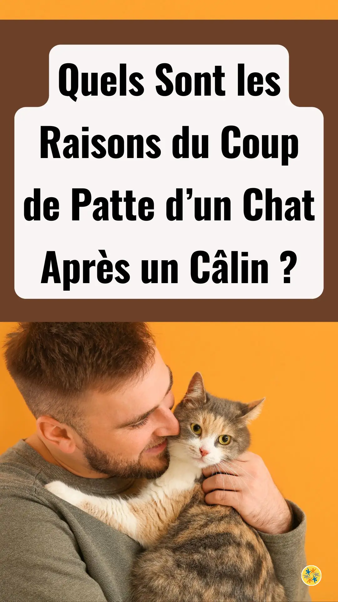 Quelle est la Signification d’un Coup de Patte Après une Caresse ? 