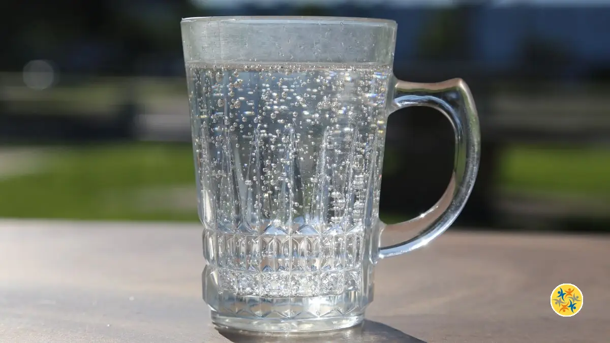 Eau Gazeuse vs Eau Plate : Différences et Bienfaits