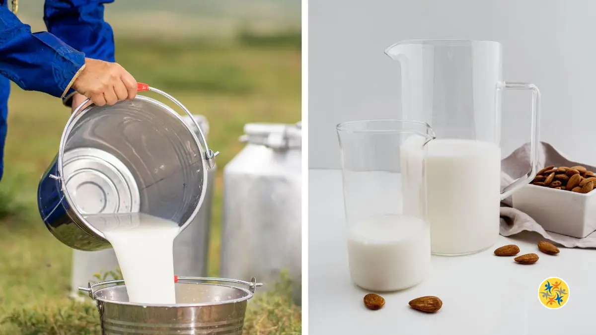 Lait de Vache ou Lait Végétal : Lequel Choisir ?